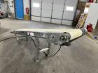 Titan Industries Incline Conveyor